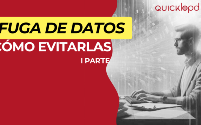 Cómo evitar la fuga de datos (I)